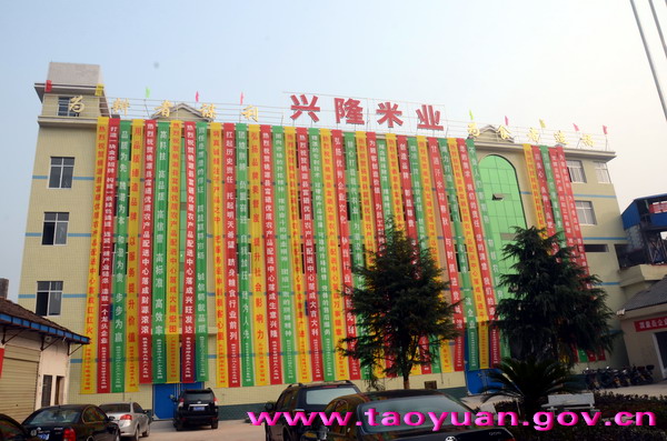 桃源縣富硒優(yōu)質農(nóng)產(chǎn)品配送中心落成